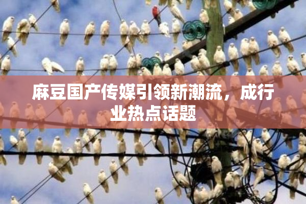 麻豆国产传媒引领新潮流，成行业热点话题