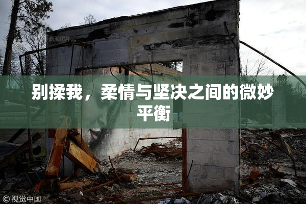 别揉我，柔情与坚决之间的微妙平衡