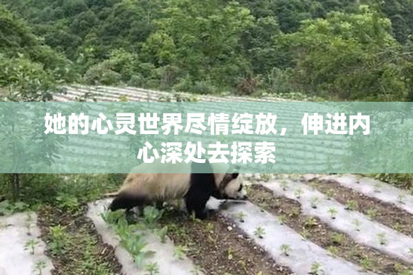 她的心灵世界尽情绽放，伸进内心深处去探索