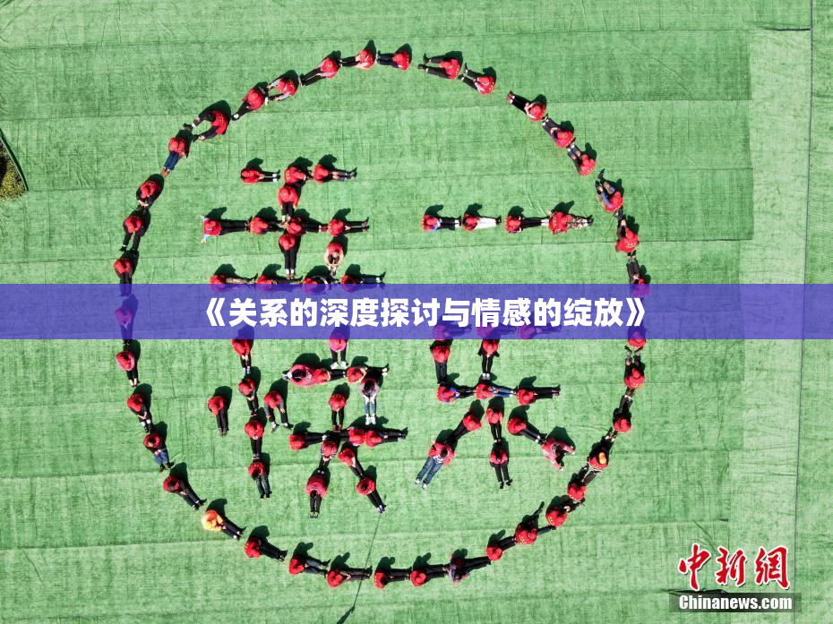 《关系的深度探讨与情感的绽放》