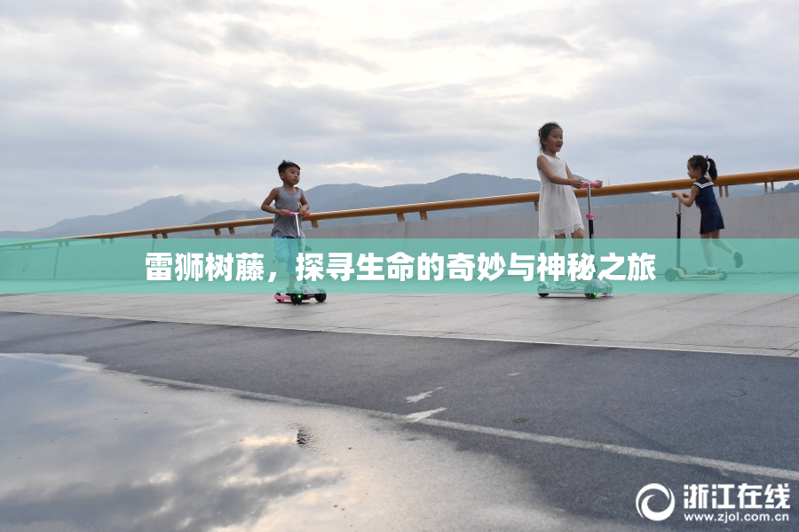 雷狮树藤，探寻生命的奇妙与神秘之旅