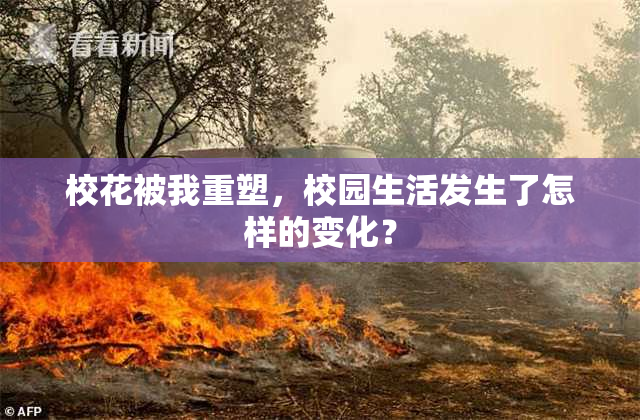 校花被我重塑，校园生活发生了怎样的变化？