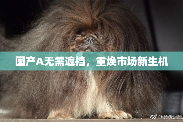 国产A无需遮挡，重焕市场新生机