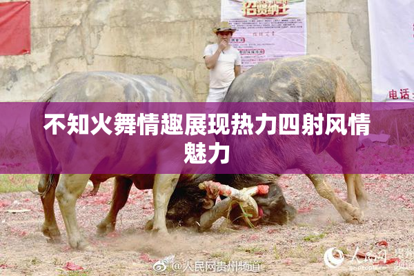 不知火舞情趣展现热力四射风情魅力