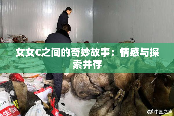 女女C之间的奇妙故事：情感与探索并存