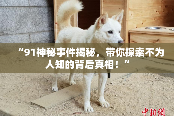 “91神秘事件揭秘，带你探索不为人知的背后真相！”