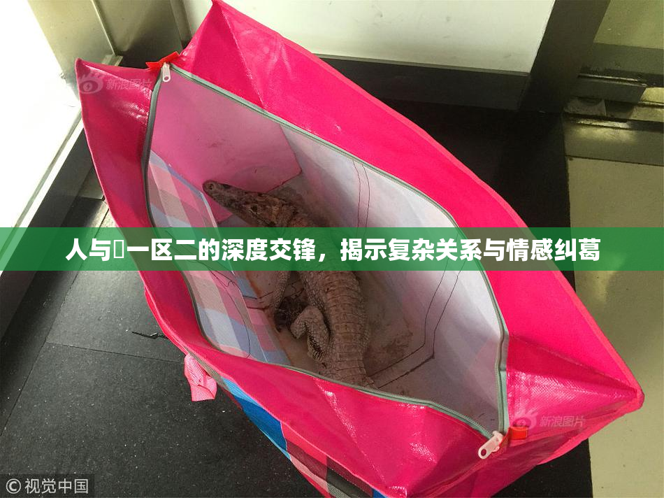 人与嘼一区二的深度交锋，揭示复杂关系与情感纠葛