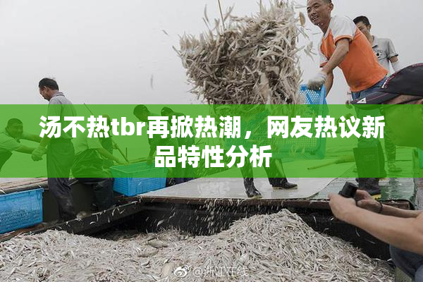 汤不热tbr再掀热潮，网友热议新品特性分析