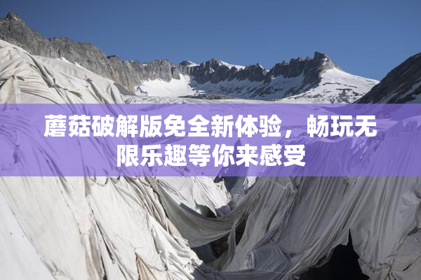 蘑菇破解版免全新体验，畅玩无限乐趣等你来感受
