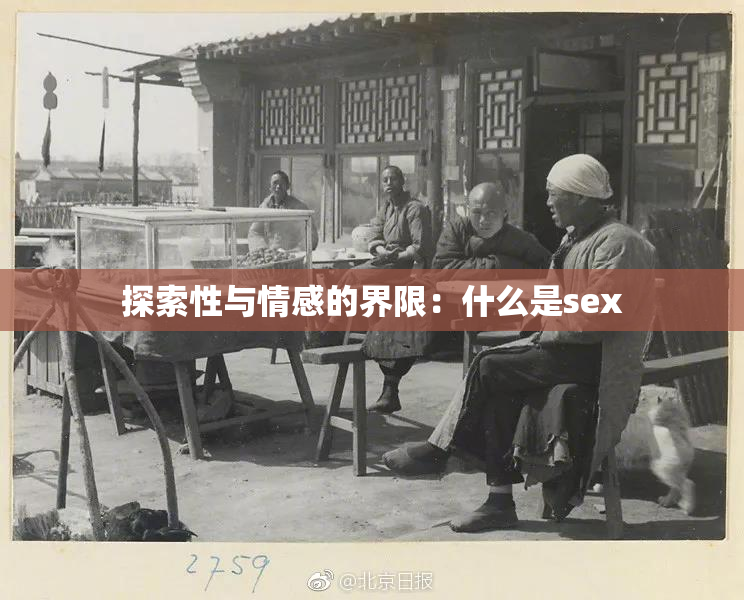 探索性与情感的界限：什么是sex