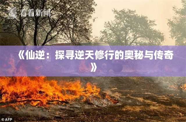 《仙逆：探寻逆天修行的奥秘与传奇》