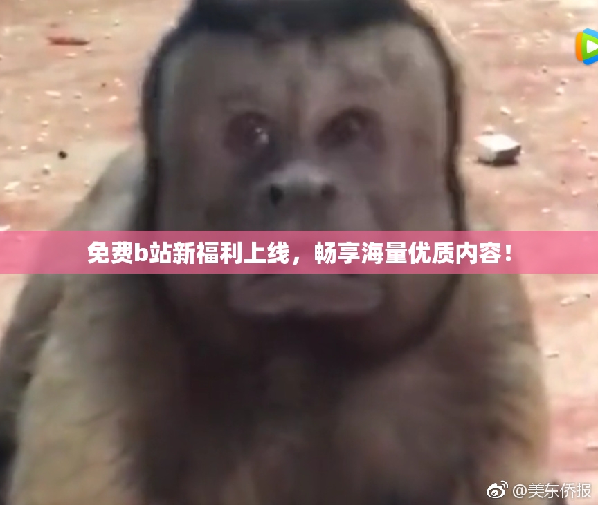 免费b站新福利上线，畅享海量优质内容！