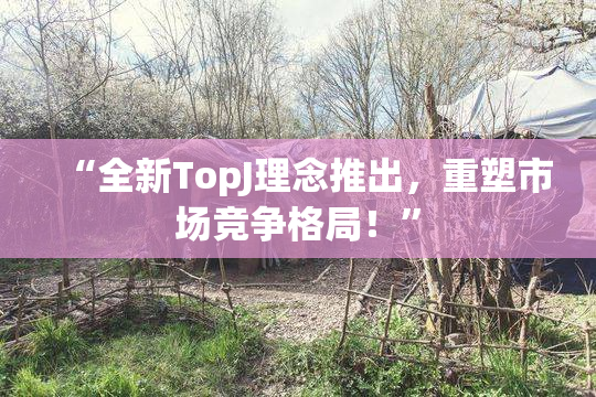 “全新TopJ理念推出，重塑市场竞争格局！”