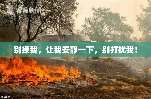 别揉我，让我安静一下，别打扰我！