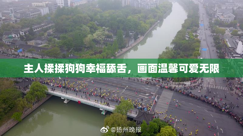 主人揉揉狗狗幸福舔舌，画面温馨可爱无限