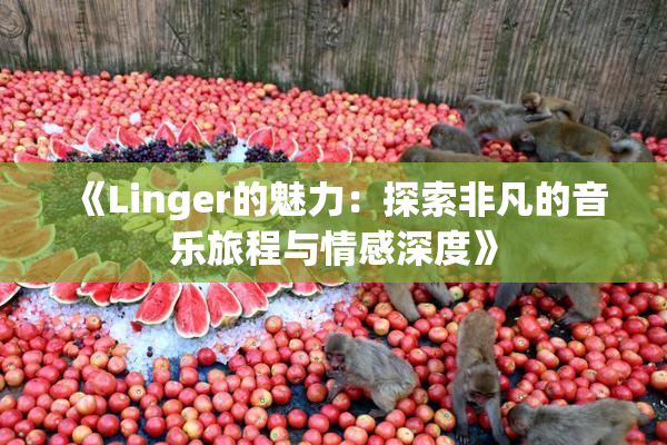 《Linger的魅力：探索非凡的音乐旅程与情感深度》