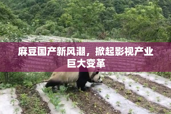 麻豆国产新风潮，掀起影视产业巨大变革