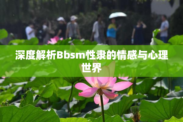 深度解析Bbsm性隶的情感与心理世界
