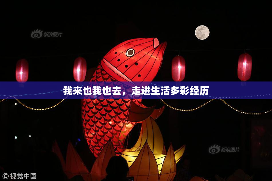 我来也我也去，走进生活多彩经历