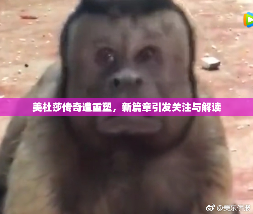 美杜莎传奇遭重塑，新篇章引发关注与解读