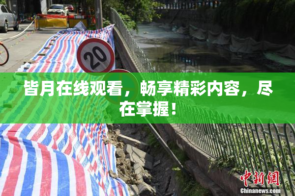 皆月在线观看，畅享精彩内容，尽在掌握！