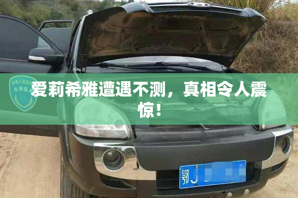 爱莉希雅遭遇不测，真相令人震惊！