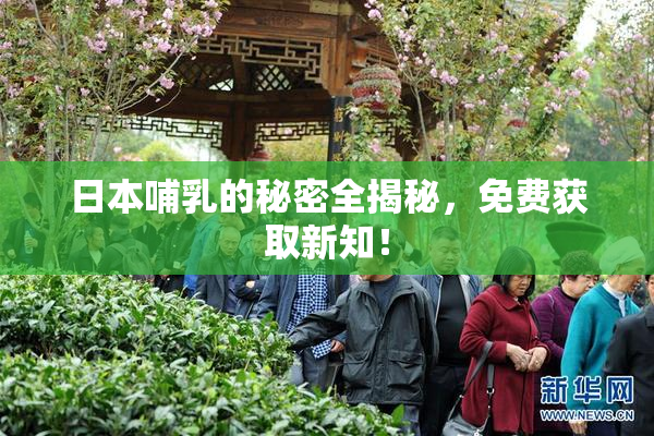 日本哺乳的秘密全揭秘，免费获取新知！
