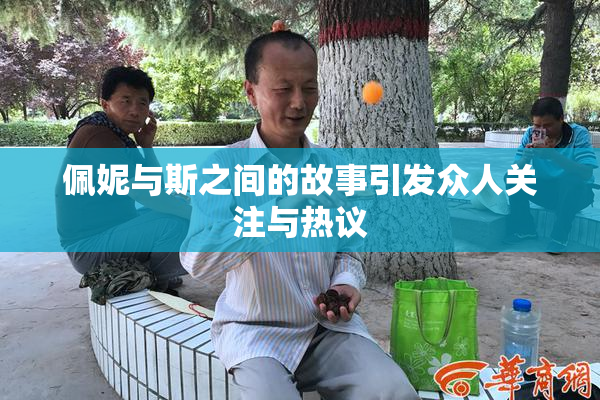 佩妮与斯之间的故事引发众人关注与热议