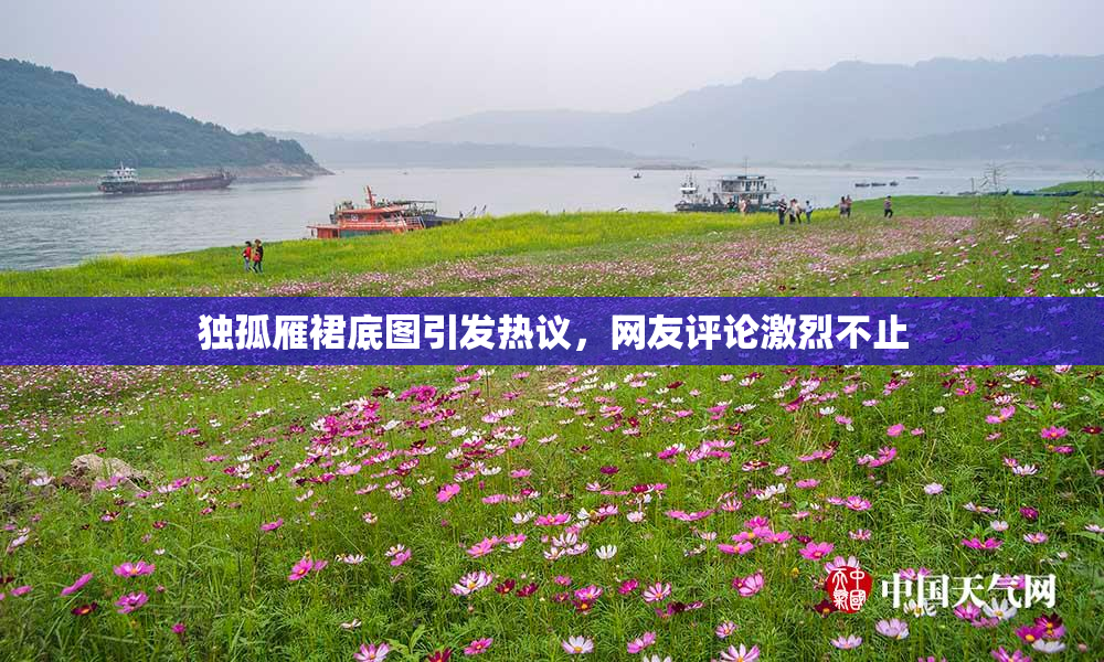 独孤雁裙底图引发热议，网友评论激烈不止