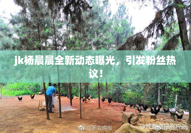 jk杨晨晨全新动态曝光，引发粉丝热议！
