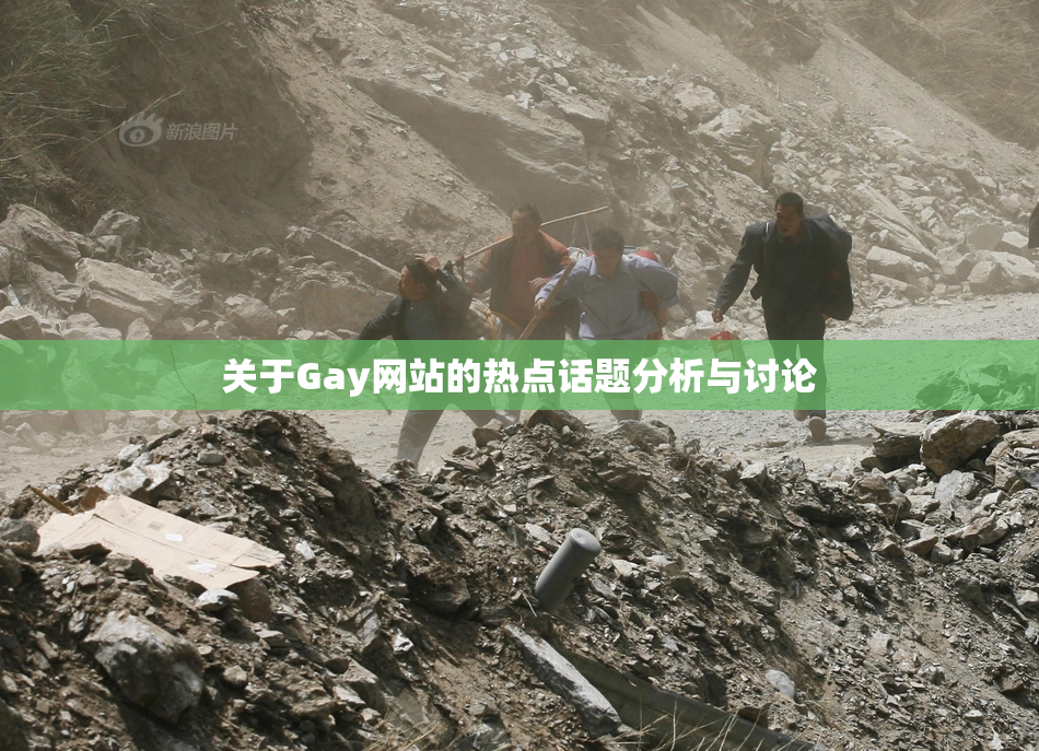 关于Gay网站的热点话题分析与讨论