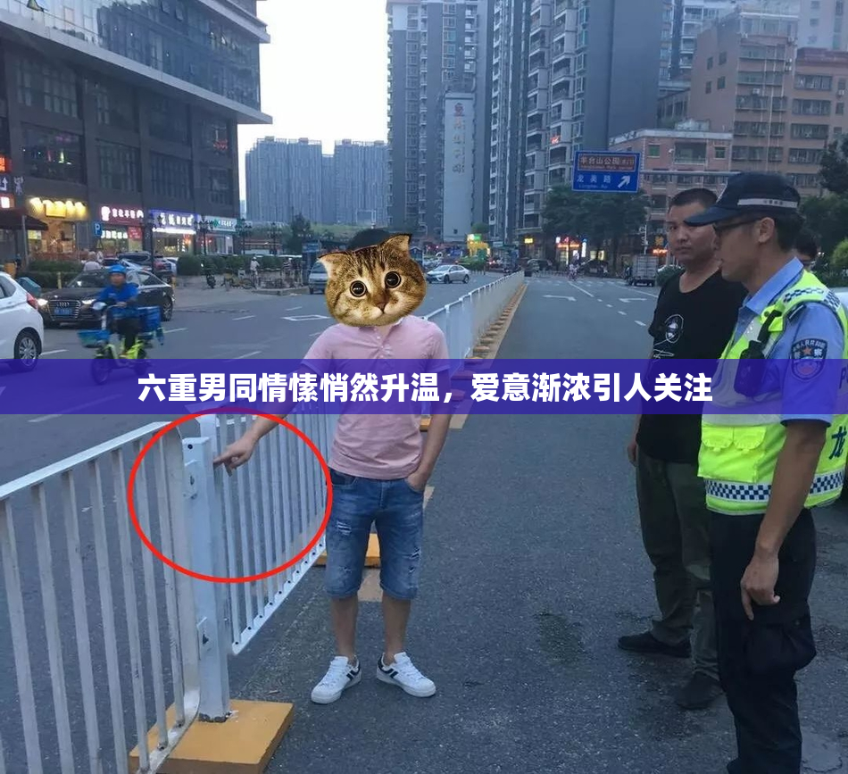 六重男同情愫悄然升温，爱意渐浓引人关注