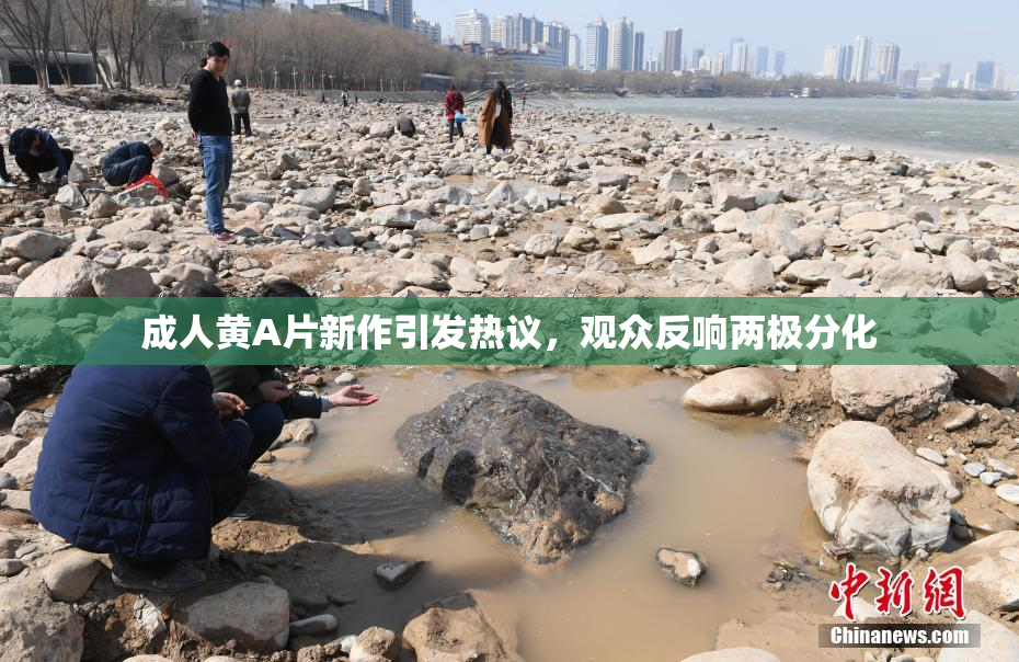 成人黄A片新作引发热议，观众反响两极分化