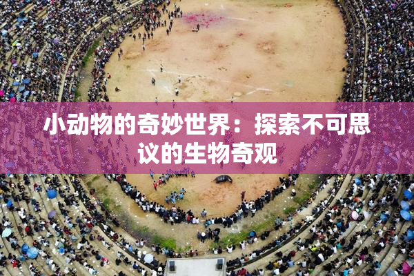 小动物的奇妙世界：探索不可思议的生物奇观