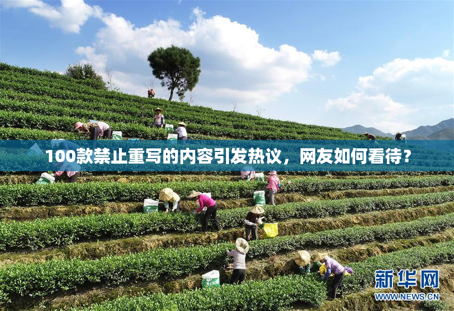 100款禁止重写的内容引发热议，网友如何看待？