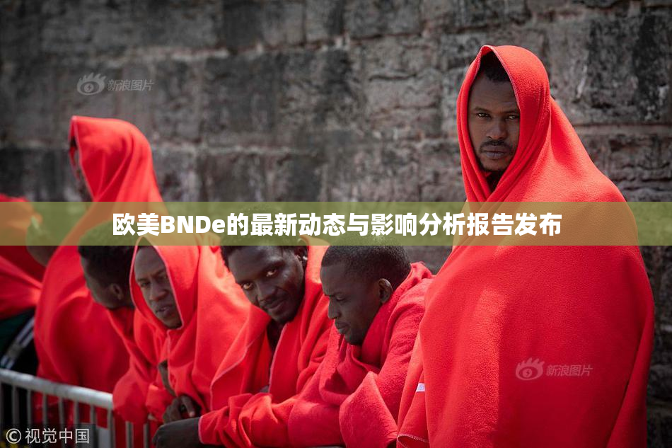 欧美BNDe的最新动态与影响分析报告发布