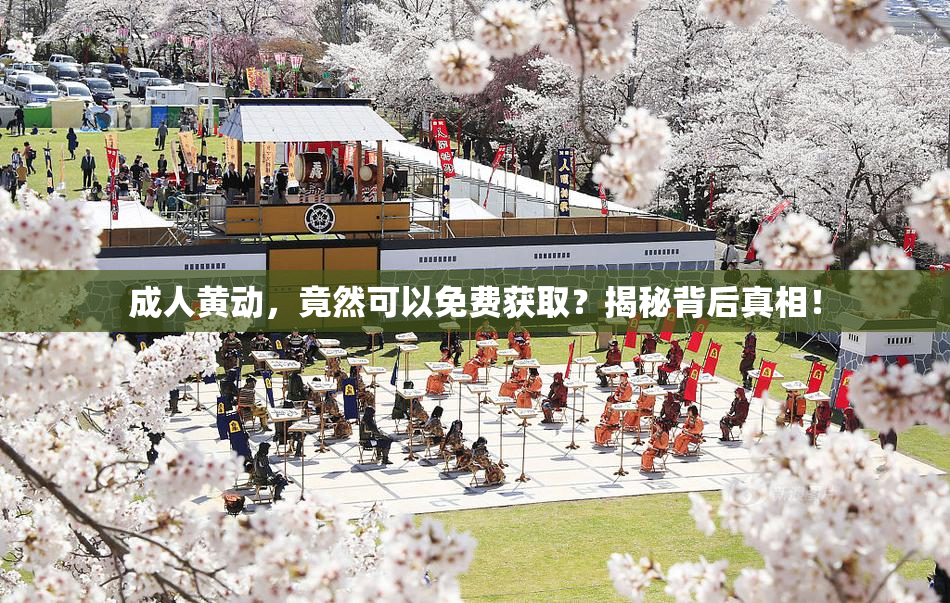 成人黄动，竟然可以免费获取？揭秘背后真相！