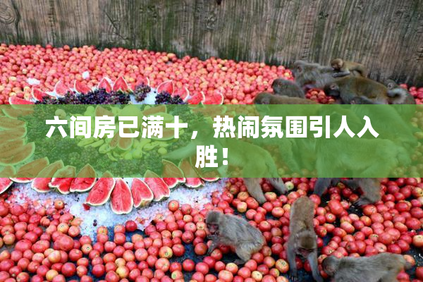 六间房已满十，热闹氛围引人入胜！