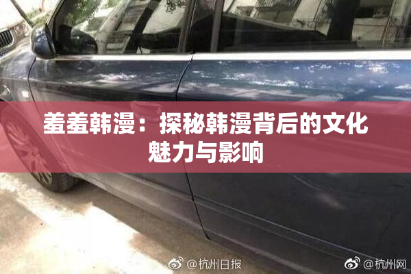 羞羞韩漫：探秘韩漫背后的文化魅力与影响