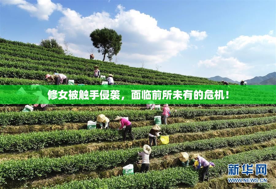 修女被触手侵袭，面临前所未有的危机！