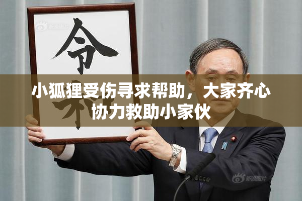 小狐狸受伤寻求帮助，大家齐心协力救助小家伙
