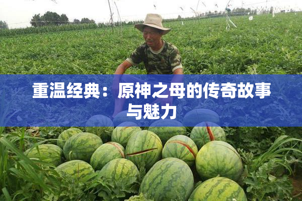 重温经典：原神之母的传奇故事与魅力