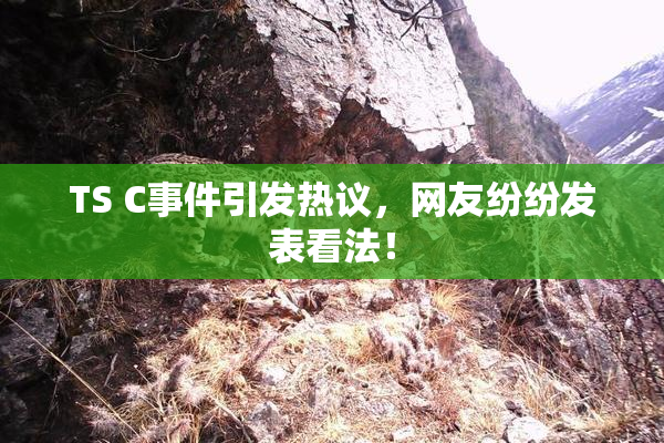 TS C事件引发热议，网友纷纷发表看法！