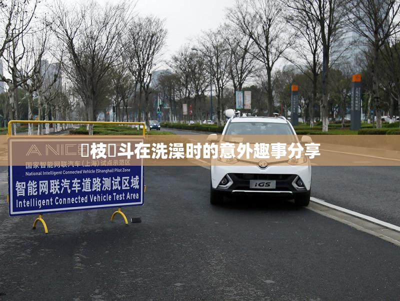 狛枝凪斗在洗澡时的意外趣事分享