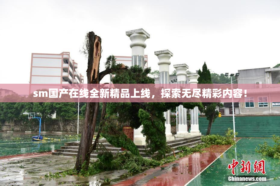 sm国产在线全新精品上线，探索无尽精彩内容！