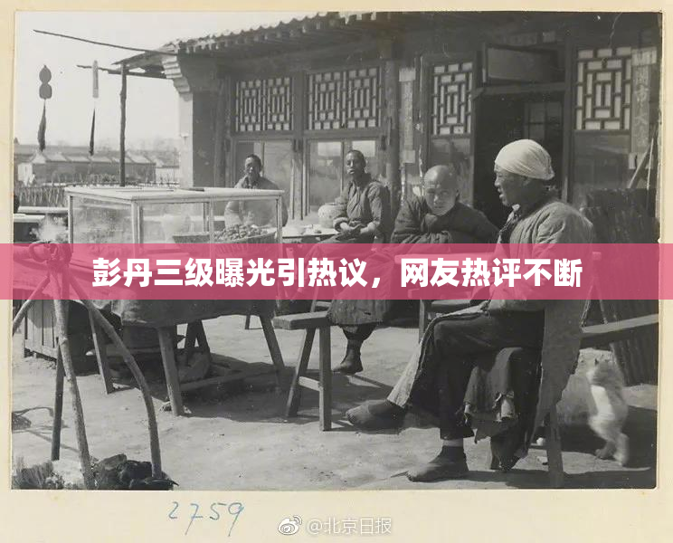 彭丹三级曝光引热议，网友热评不断