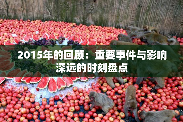 2015年的回顾：重要事件与影响深远的时刻盘点