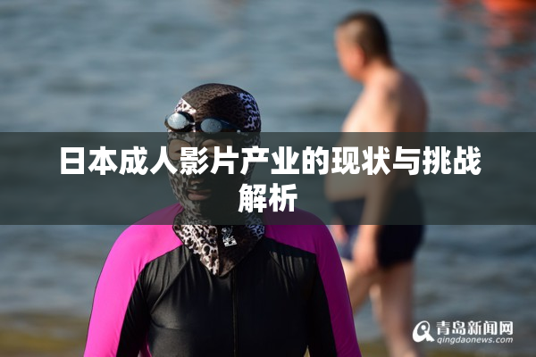 日本成人影片产业的现状与挑战解析