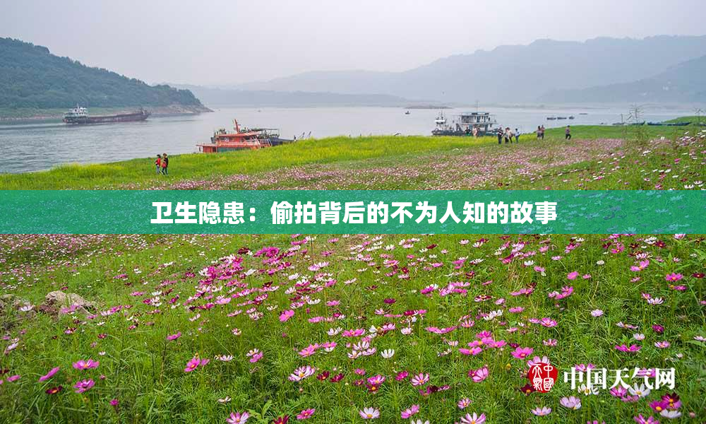 卫生隐患：偷拍背后的不为人知的故事
