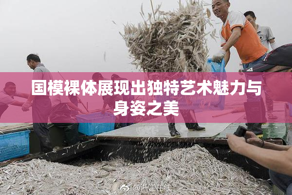 国模裸体展现出独特艺术魅力与身姿之美